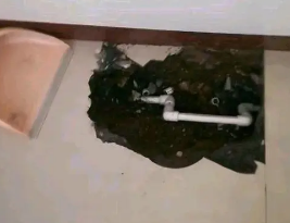 河西卫生间测漏水多少钱